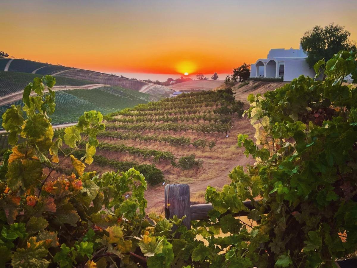 Sirena Vineyard Resort Paso Robles Luaran gambar